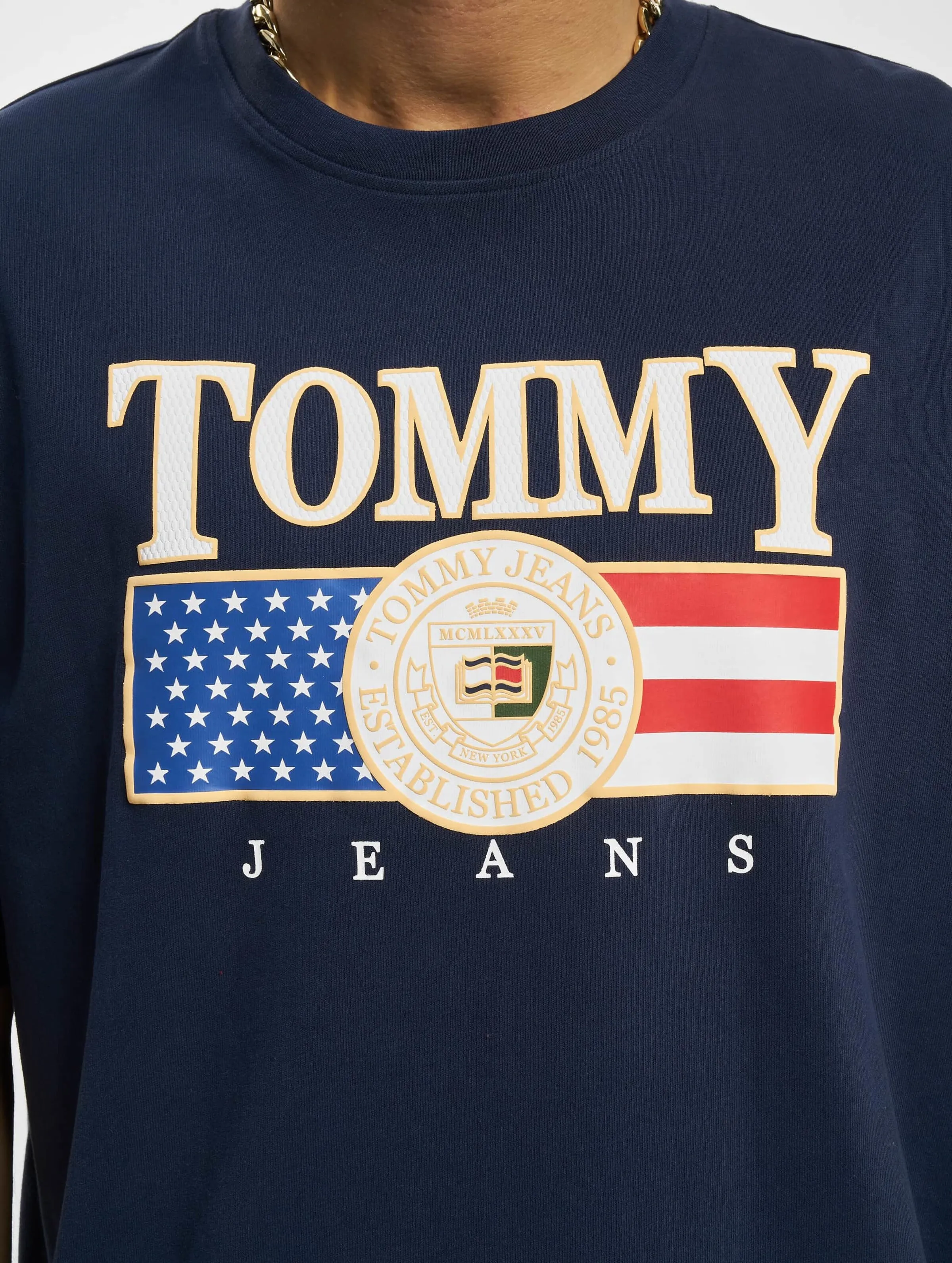 Tommy Jeans Skater Luxe USA